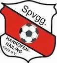 SpVgg Hankofen-Hailing Fotboll